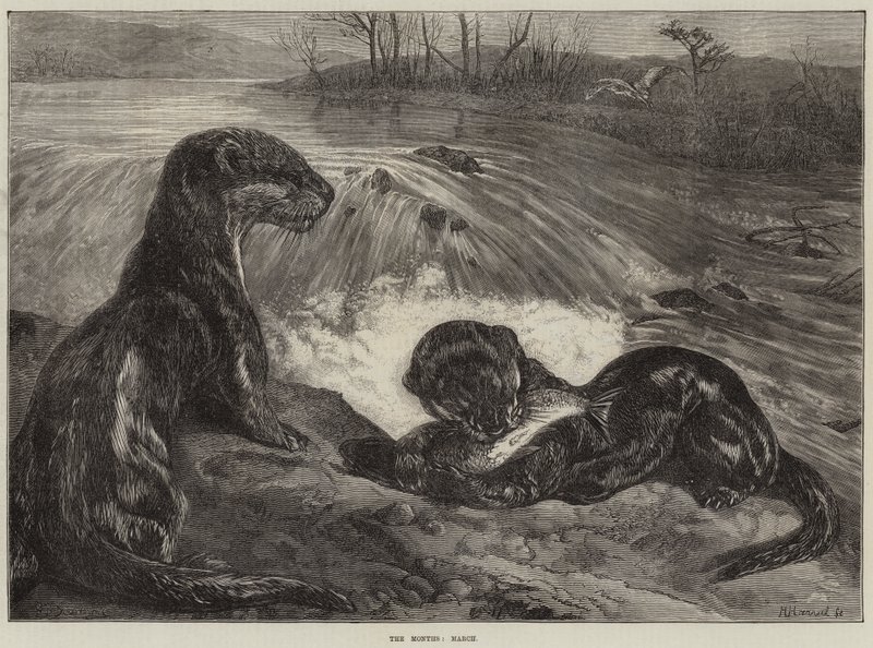 Os meses de março de George Bouverie Goddard