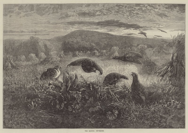 Os meses de setembro de George Bouverie Goddard