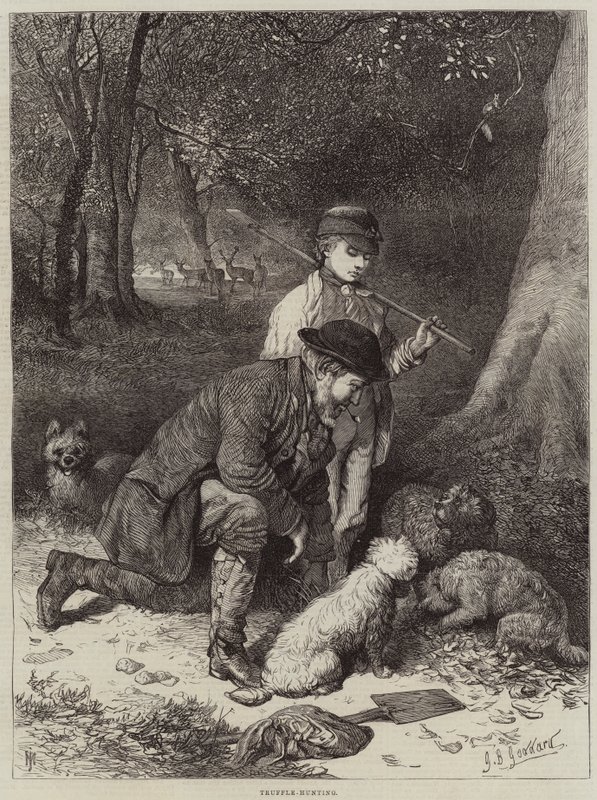 Caça De Trufas de George Bouverie Goddard