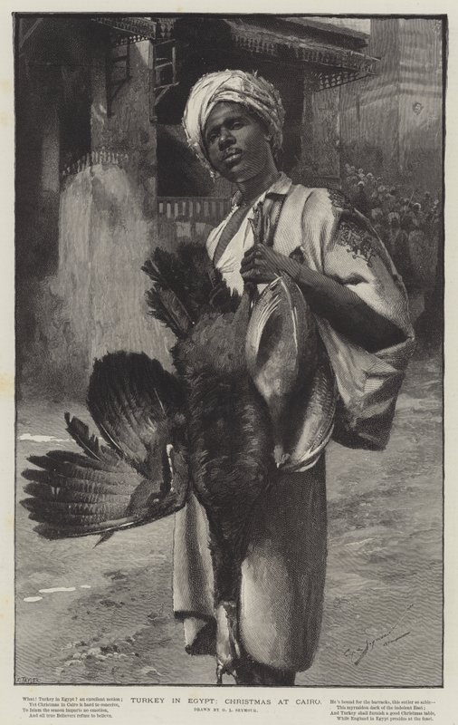 Turquia no Egito, Natal no Cairo de George L. Seymour