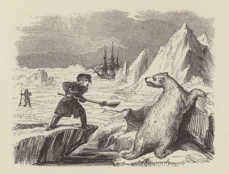 O jovem Nelson matando um urso polar (gravura) de George (after) Cruikshank