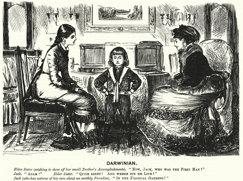 Soco cartoon: (gravura) de George (after) Du Maurier
