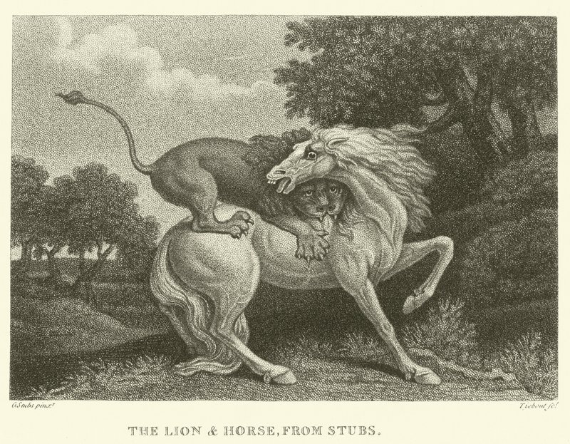 O Leão e o Cavalo, de Stubs (gravura) de George (after) Stubbs