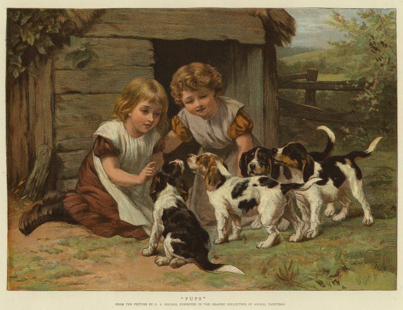 Filhotes de George Augustus Holmes