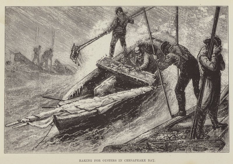 Ajuntando Ostras na Baía de Chesapeake de George Augustus Sala