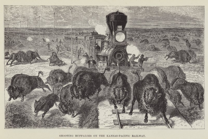 Búfalos de tiro na estrada de ferro Kansas-Pacífico de George Augustus Sala