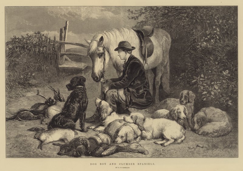 Cachorro Boy e Clumber Spaniels de George Bouverie Goddard