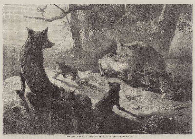 A Família Fox em Casa de George Bouverie Goddard