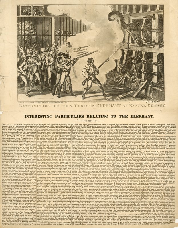 Destruição do elefante furioso em Exeter Change de George Cruikshank