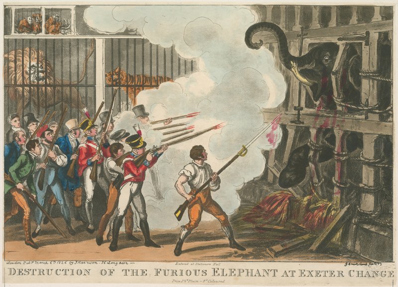 Destruição do elefante furioso em Exeter Change, 1826 de George Cruikshank
