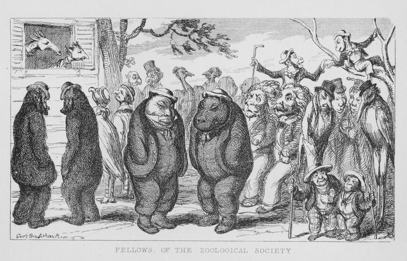 Companheiros da Sociedade Zoológica (gravura) de George Cruikshank