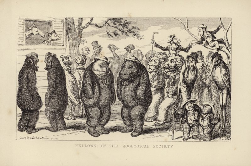 Companheiros da Sociedade Zoológica de George Cruikshank