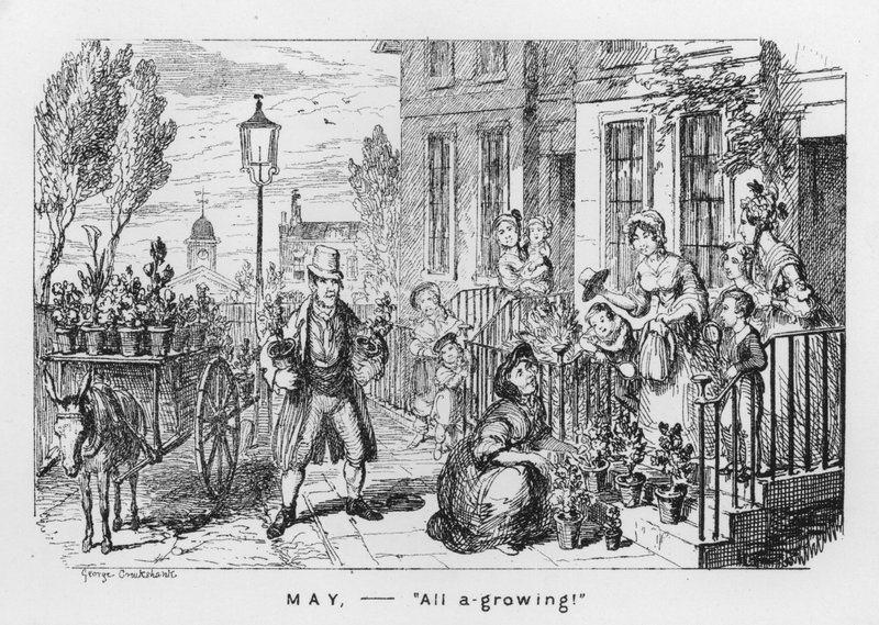Maio, Todos A Crescer (gravação) de George Cruikshank