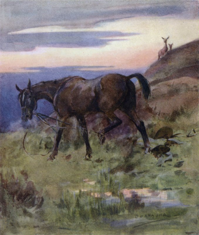 Ilustração para The Story of a Red Deer (lito colorido) de George Denholm Armour