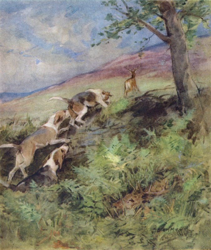 Ilustração para The Story of a Red Deer (lito colorido) de George Denholm Armour