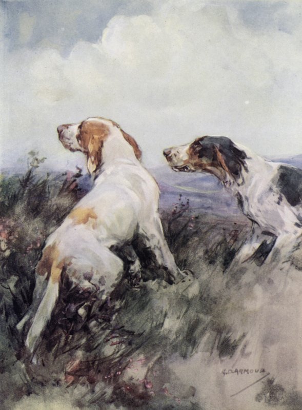 Setters (lito colorido) de George Denholm Armour