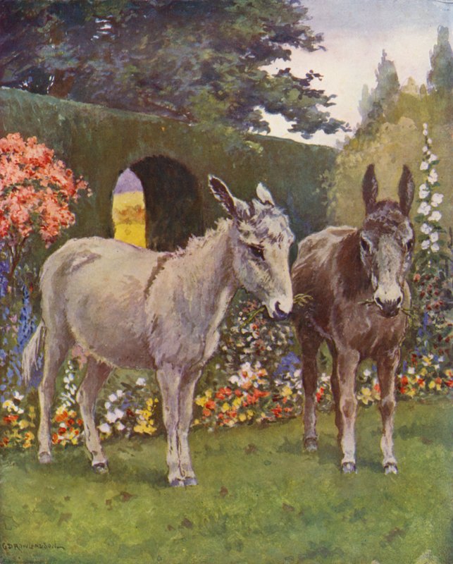 Neddy e Polly no jardim (litografia a cores) de George Derville (after) Rowlandson