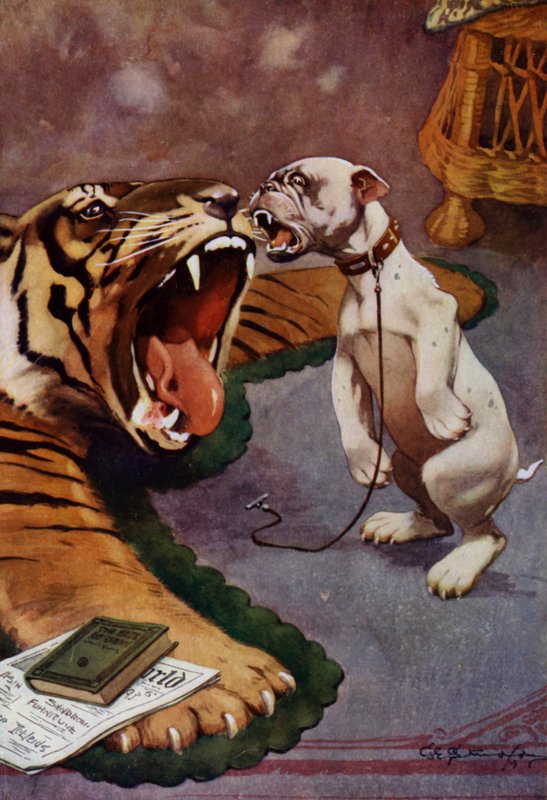 Tigre, Tigre - cão a ladrar ao tapete de tigre (cor litho) de George Ernest (after) Studdy