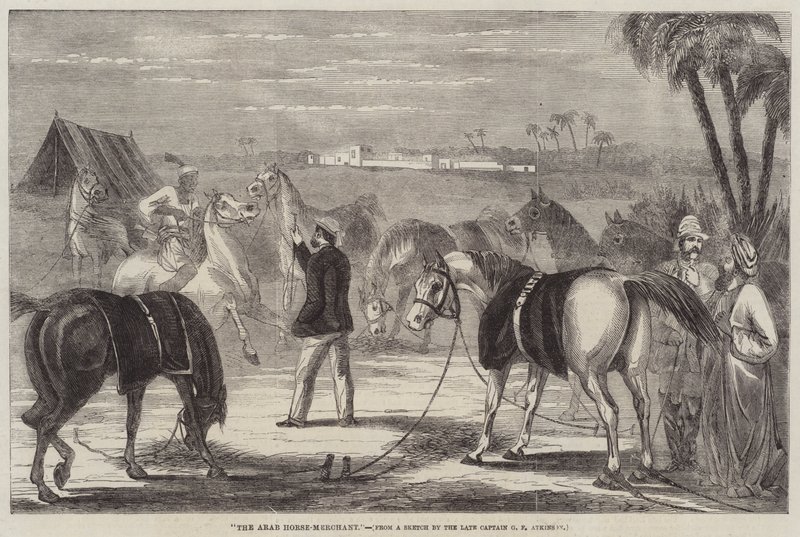 O comerciante de cavalos árabe de George Francklin Atkinson