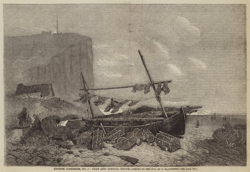 Pesca britânica, n º 5, Crab e Lobster Shore de George Henry Andrews