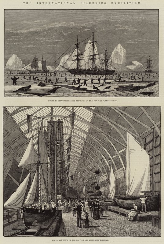 A exposição internacional das pescas de George Henry Andrews