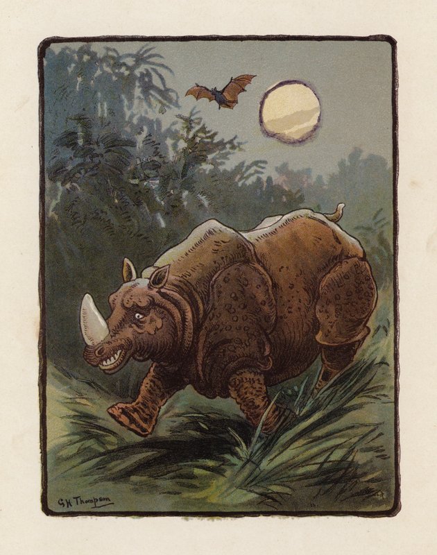 Rinoceronte (litografia a cores) de George Henry Thompson