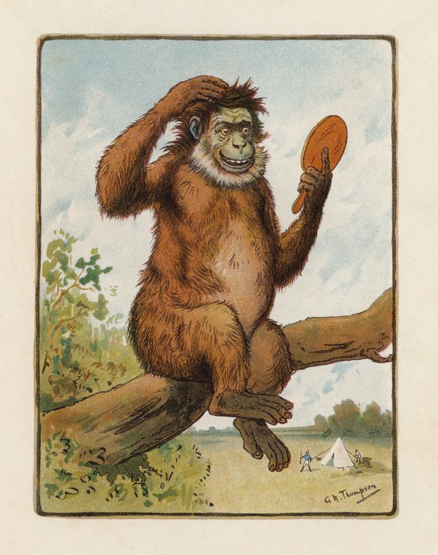 O macaco (litografia a cores) de George Henry Thompson