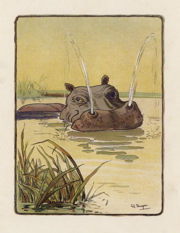 O Hipopótamo (litografia a cores) de George Henry Thompson