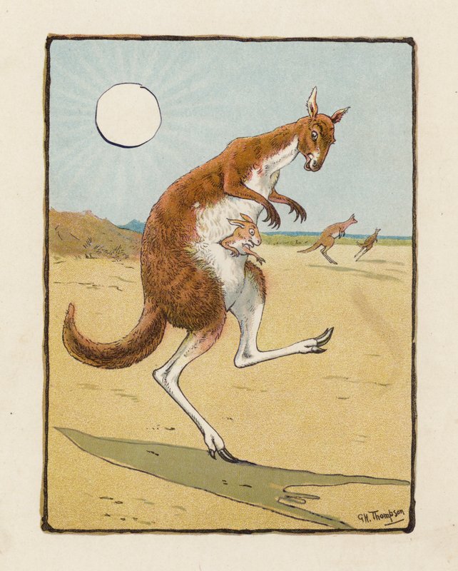 O Canguru (litografia a cores) de George Henry Thompson