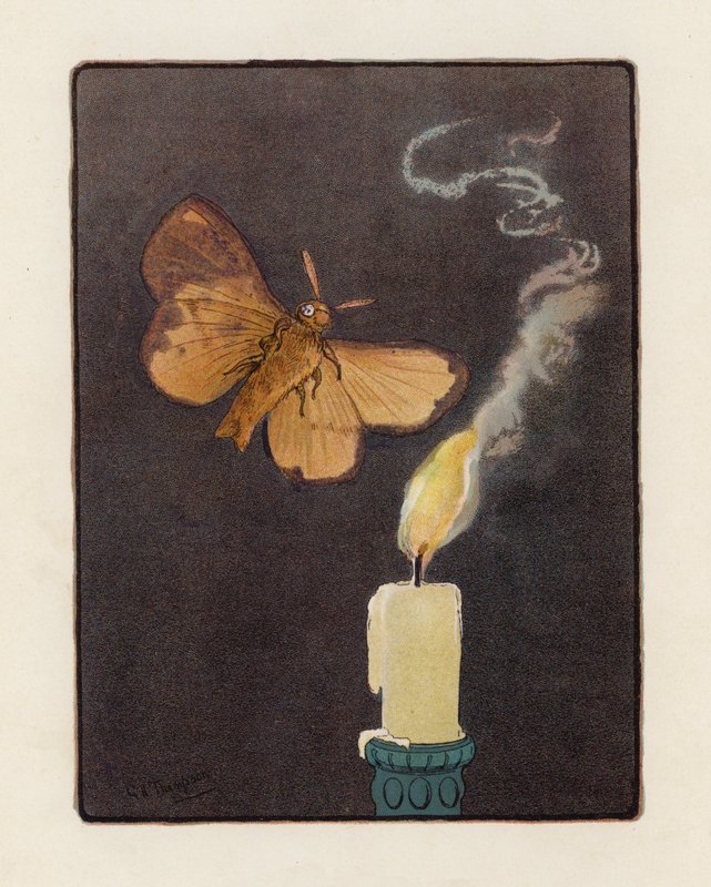 A Traça (litografia a cores) de George Henry Thompson