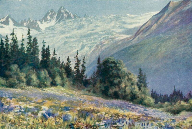 Campanula e Outras Flores de Julho no Col Des Montets (cor litho) de George Jackson Flemwell