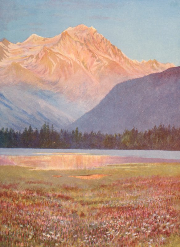 Fim de tarde entre os campos de Bistort cor-de-rosa no Lac Champex; pôr do sol no Grand Combin, julho (litografia a cores) de George Jackson Flemwell