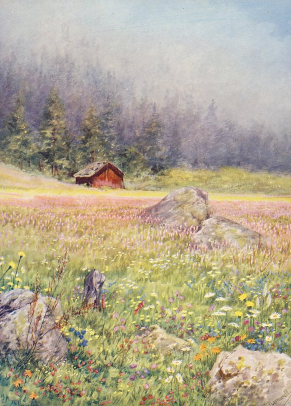 Nos campos de Champex, no início de julho (litografia a cores) de George Jackson Flemwell