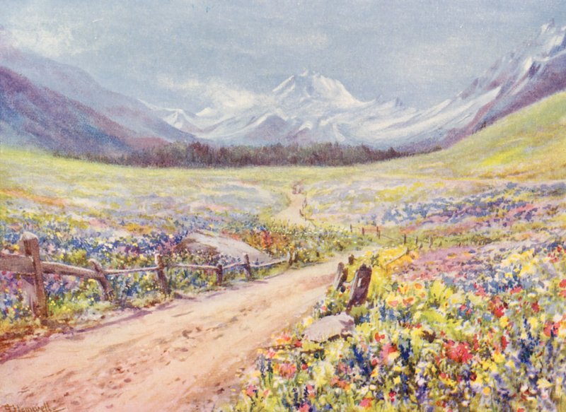 Prados de junho de Salvia, Lychnis, etc., no Val Ferret, pouco antes de chegar à aldeia de Praz de Fort (litografia a cores) de George Jackson Flemwell