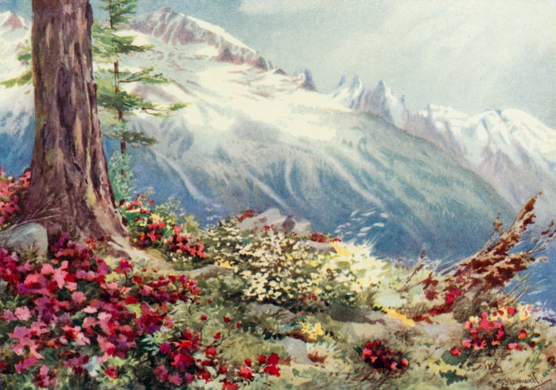 Mont Blanc e o Aiguille Du Midi, olhando de cima Argentiere (cor litho) de George Jackson Flemwell