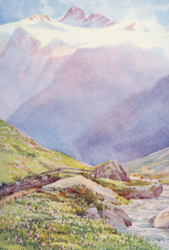 Os açafrões de outono nos campos perto da aldeia de Trient, com a Aiguille du Tour em fundo, setembro (litografia a cores) de George Jackson Flemwell