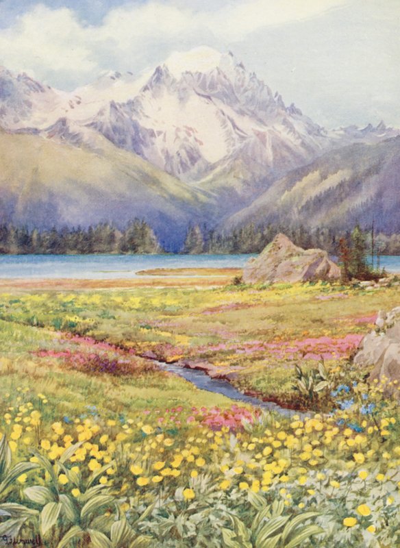 Os campos superiores de Champex no início de junho, com o Grand Combin à distância (litografia a cores) de George Jackson Flemwell