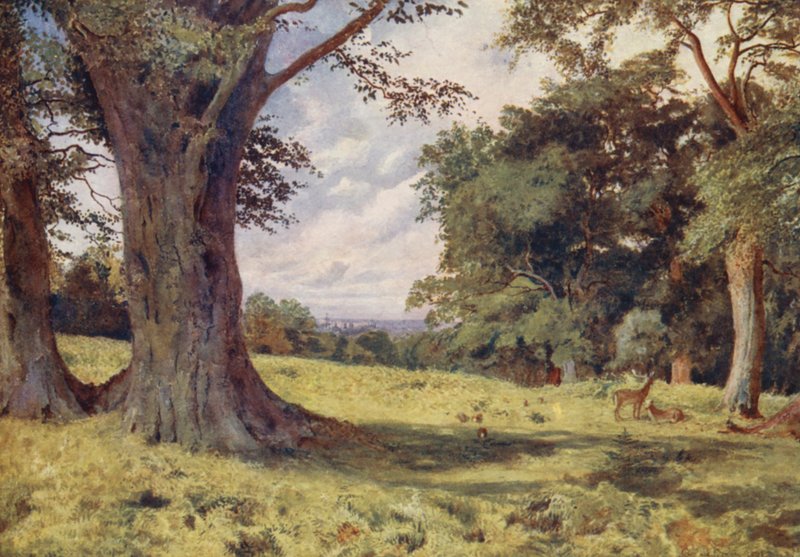 Uma clareira no Grande Parque de Windsor (litografia a cores) de George Moore Henton