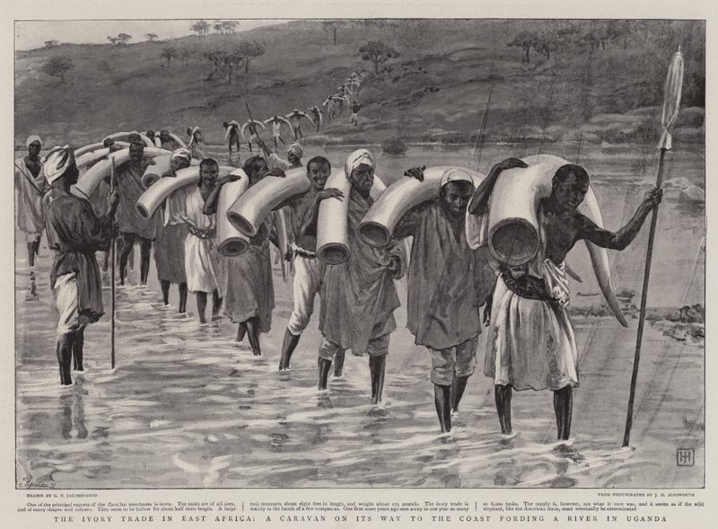 O comércio de marfim na África Oriental, uma caravana a caminho da costa, em um rio em Uganda de George Percy Jacomb Hood