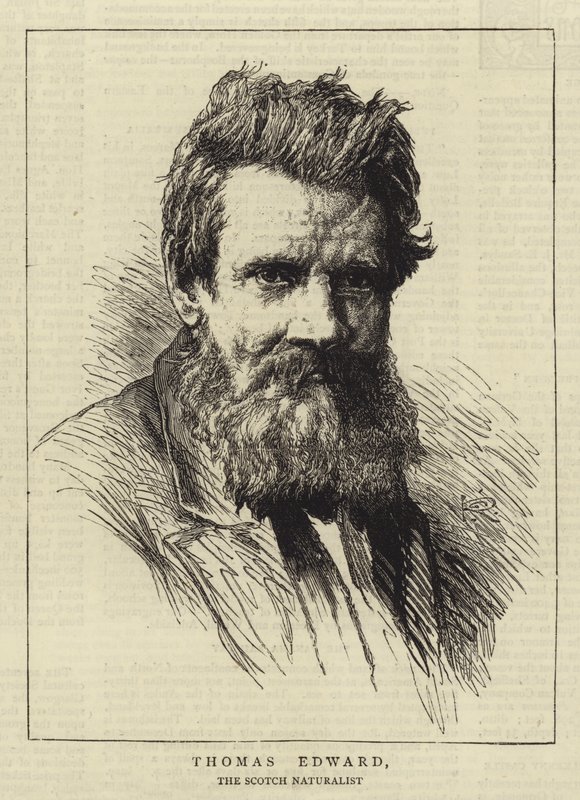 Thomas Edward de George Reid