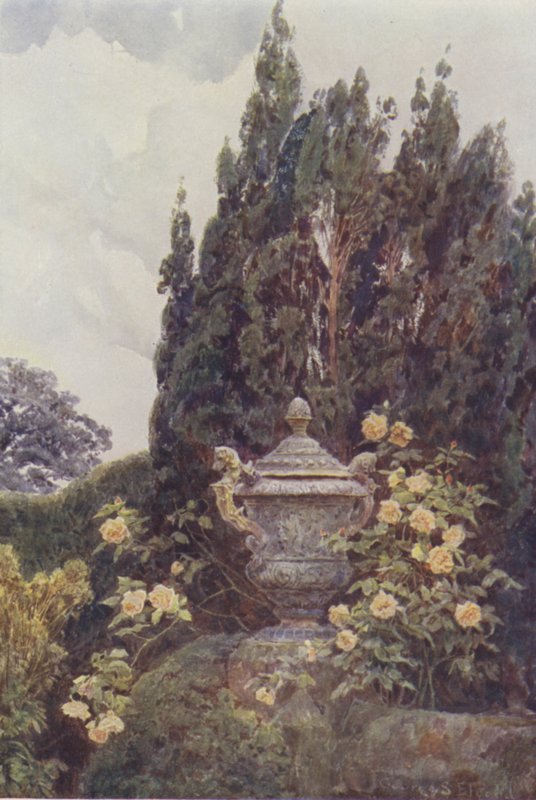 Glória de Dijon, Penshurst de George Samuel Elgood