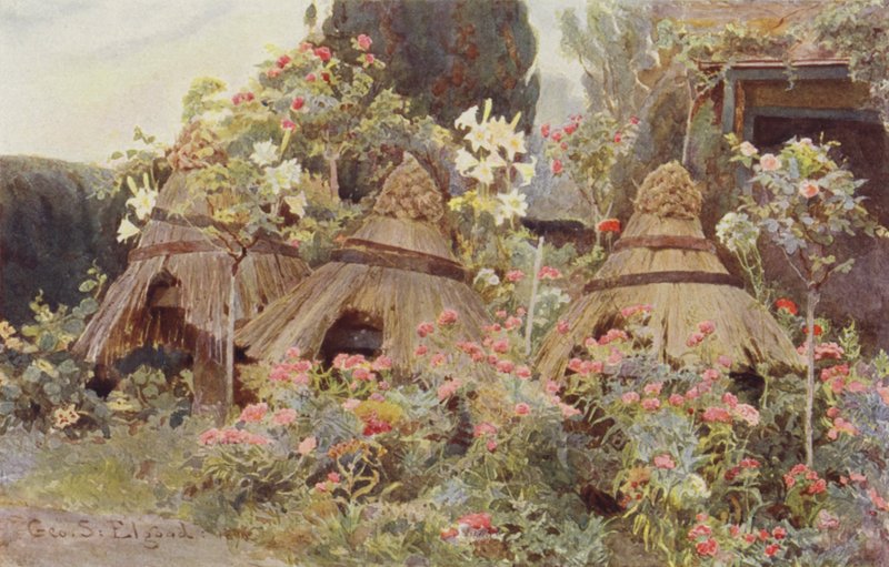 Bordado de Lady Coventrys de George Samuel Elgood