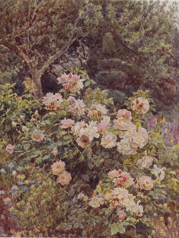 Viscondessa Folkestone de George Samuel Elgood