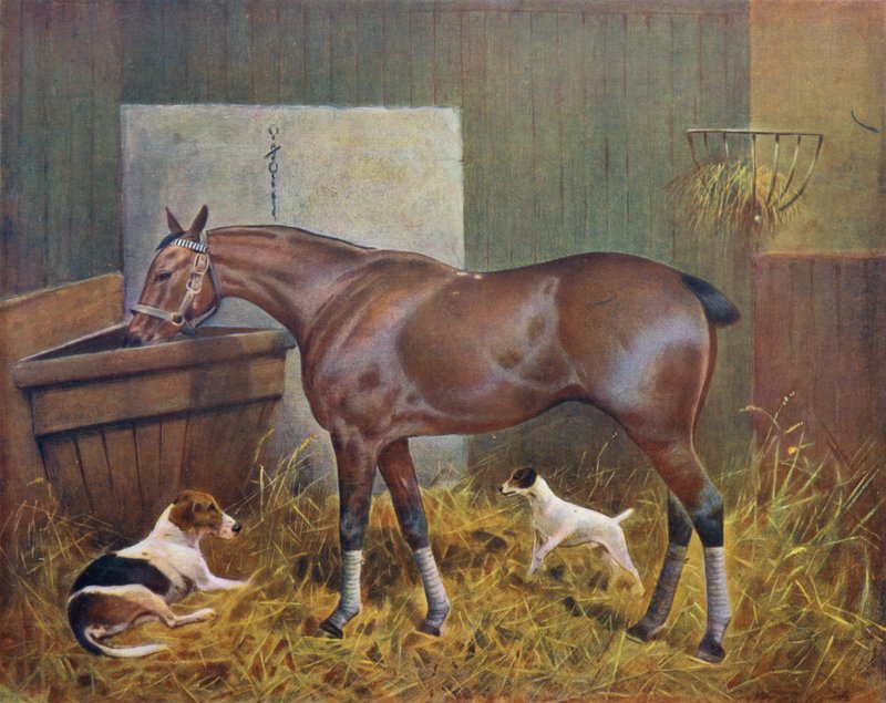 No estábulo de George Wright