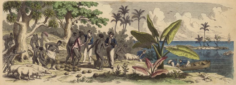 Uma ilha do Pacífico (gravura colorida) de German School