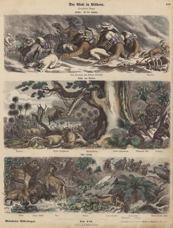 África: uma caravana apanhada numa tempestade de areia no Saara; a costa da Guiné; África do Sul (gravura colorida) de German School