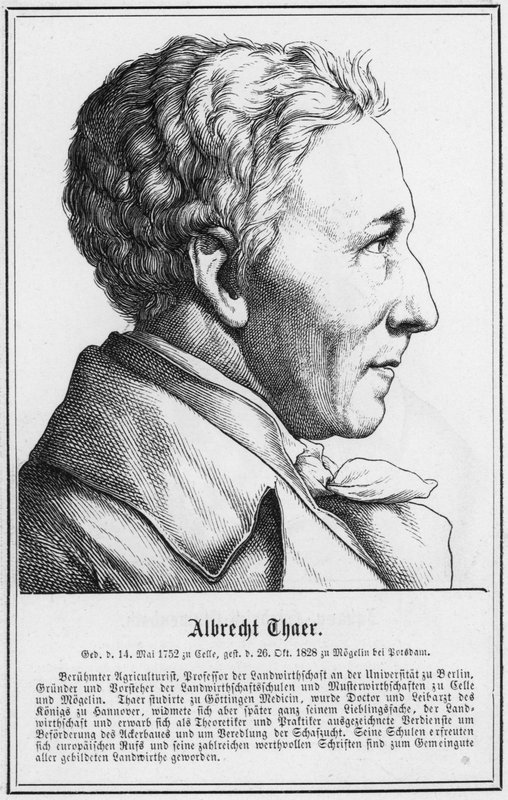 Albrecht Thaer (gravura) de German School