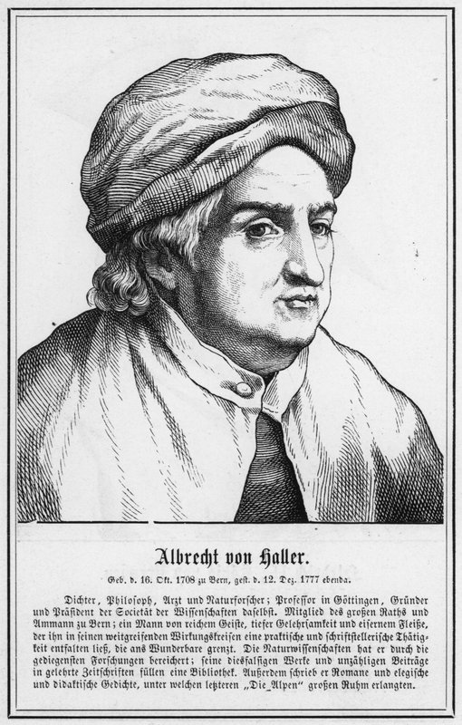 Albrecht von Haller (gravura) de German School