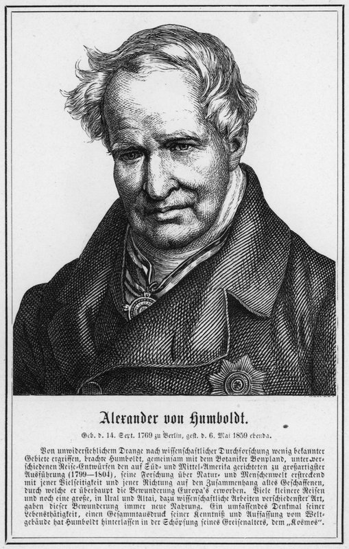 Alexander von Humboldt (gravura) de German School
