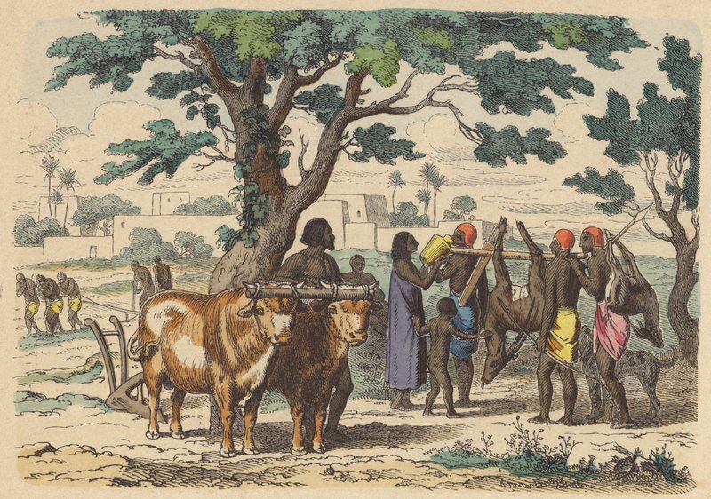 Antigo agricultor egípcio e caçadores (gravura colorida) de German School